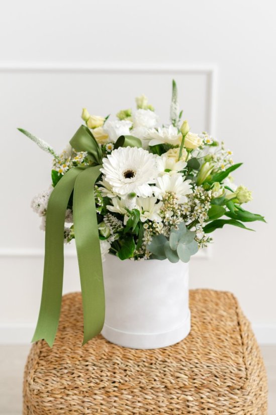 Boxík jemnosti - Velikost: Velká