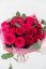 Růžová elegance - Počet: 7 kusů