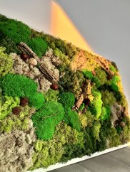 Dárkový poukaz: Mechový obraz